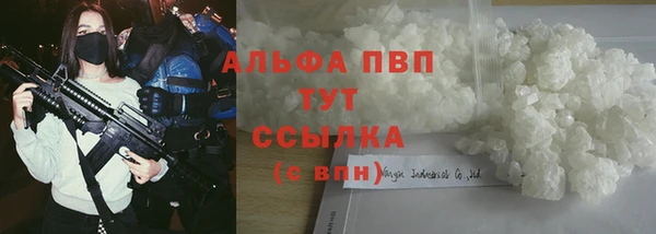 индика Вяземский