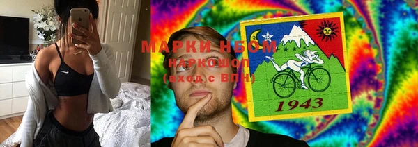 индика Вяземский